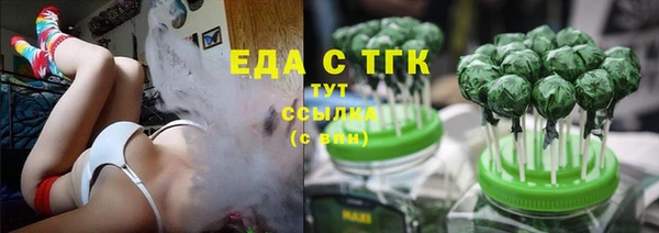 твердый Бердск