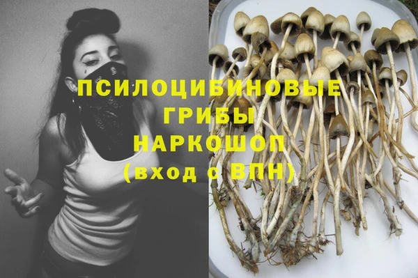 стаф Киреевск