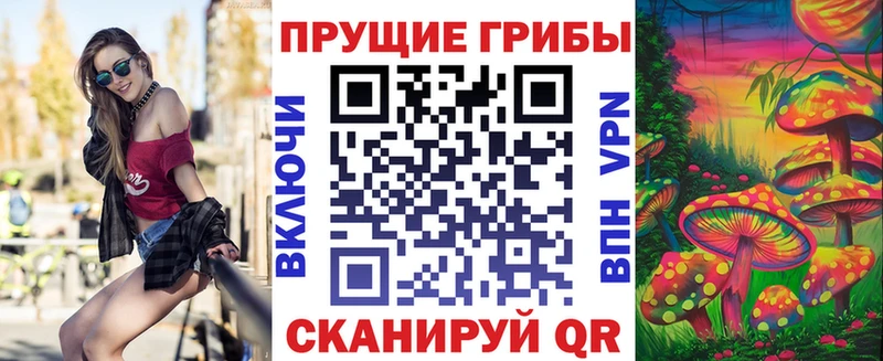 Галлюциногенные грибы GOLDEN TEACHER  Купить где  Каргополь 